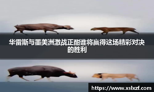 华雷斯与墨美洲激战正酣谁将赢得这场精彩对决的胜利